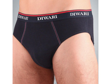 DIWARI (� ��������) MSL 017.jpg
