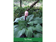 ����� �� ����.jpg