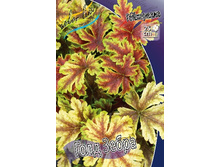 235,3���. ���������� ���� �����(�������� ���� �� 1 ��., ����������� ����� 1��.).jpg