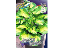 199���. ����� ���� ��� ��(�������� ���� �� 1 ��., ����������� ����� 1��.).jpg