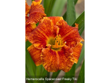 101���. �������� ��������� ����� ����(�������� ���� �� 1 ��., ����������� ����� 1��.).jpg