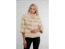 ���� ������ �8