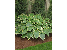 93,1���. ����� ����������(�������� ���� �� 1 ��., ����������� ����� 1��.)���16.jpg