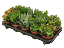 �������� ���� 12�20. 252 ���.jpg