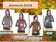 26258 �������