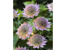 148,4���. ��������� �������(�������� ���� �� 1 ��., ����������� ����� 1��.).jpg