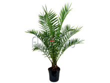 ����� ��������� 19�80. 1222,39 ���.jpg