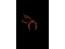 45 ���.������: �����