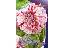 83,5���. �������� �������� ������� ����(�������� ���� �� 1 ��., ����������� ����� 1��.).jpg