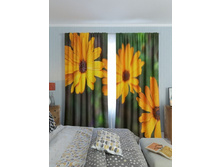 ����� �������.jpg