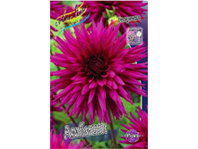 82,7���. �������� ������(�������� ���� �� 1 ��., ����������� ����� 1��.).jpg