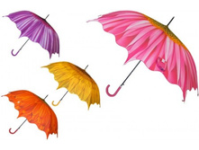 ����-������ ������: 9570 ������: ������� ������ 100�� ����: 432.00 �.