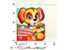 �198571 237,00.jpg