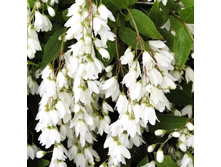 ������ �����-127�.jpg