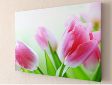 ����� ����� 1-1.jpg