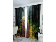 ������ �����.jpg