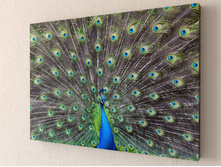 ������ 1-1.jpg