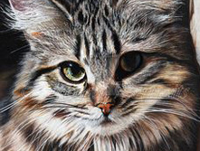 ������ 27-38 Ag 4674.jpg