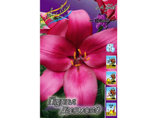 21,43���. ����� ����� �������(��� 7 ��. ���������� �� 2��.).jpg