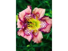 187,9���. �������� ��� ������(�������� ���� �� 1 ��., ����������� ����� 1��.).jpg