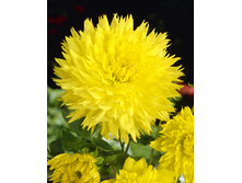 76,7���. �������� ������(�������� ���� �� 1 ��., ����������� ����� 1��.)���17.jpg