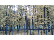 20160929 122528.jpg