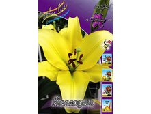 20,59���. ����� ��������(��� 7 ��. ���������� �� 2��.).jpg