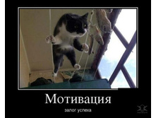 ���������)