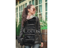 ������ 0774.  1606���.