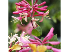 164���. ��������� �������� �������� �����.jpg