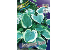 93,1���. ����� �������� ����(�������� ���� �� 1 ��., ����������� ����� 1��.).jpg