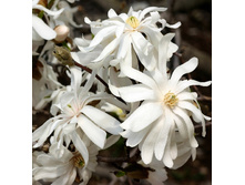 201���. �������� �ף������� ���� ����.jpg