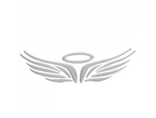 Schildik-na-avto-angel-3.jpg