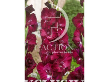 13,2���. ��������� ������(���������� �� ����� �������� �� 7��.)���17.jpg