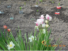 DSCN2106.JPG