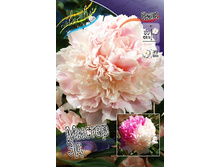 235,3���. ���� ������ ��(�������� ���� �� 1 ��., ����������� ����� 1��.).jpg