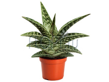 ���� ������������� 10�20. 179,55 ���.jpg