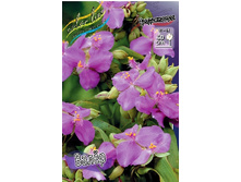 62,35���. ������������ ����(�������� ���� �� 2 ��., ����������� ����� 1��.).jpg