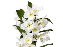 ���������� ������� 10�45. 654,15 ���.jpg