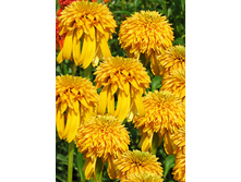 279,5���. �������� �������� ������(�������� ���� �� 1 ��., ����������� ����� 1��.)���17.jpg