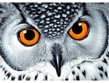 ������ ���� 38-27 Ag 860.jpg