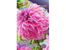 83,5���. �������� ������ ������(�������� ���� �� 1 ��., ����������� ����� 1��.).jpg