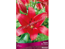 ����� ������.jpg