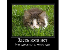 ����� ���� ���. ��� ����� ����, ���� ���!