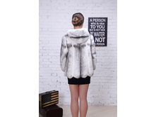 1615201 ����, ������.jpg