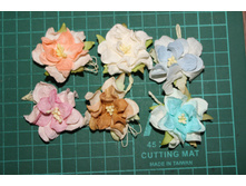 �������� ����������� � ���������� 4 ��