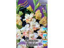 9,11���. ��������� ������ �������(���������� ������ ������ ���������� �� 8 ��.).jpg