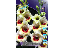 8,53���. ��������� �������(���������� ������ ������ ���������� �� 7 ��.).jpg