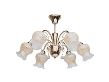 670010106 4500�.jpg