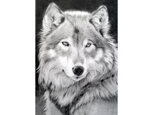 ����� ���� 27-38 Ag 545.jpg